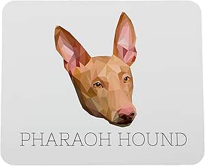 pharaoh hound podengo ibicenco