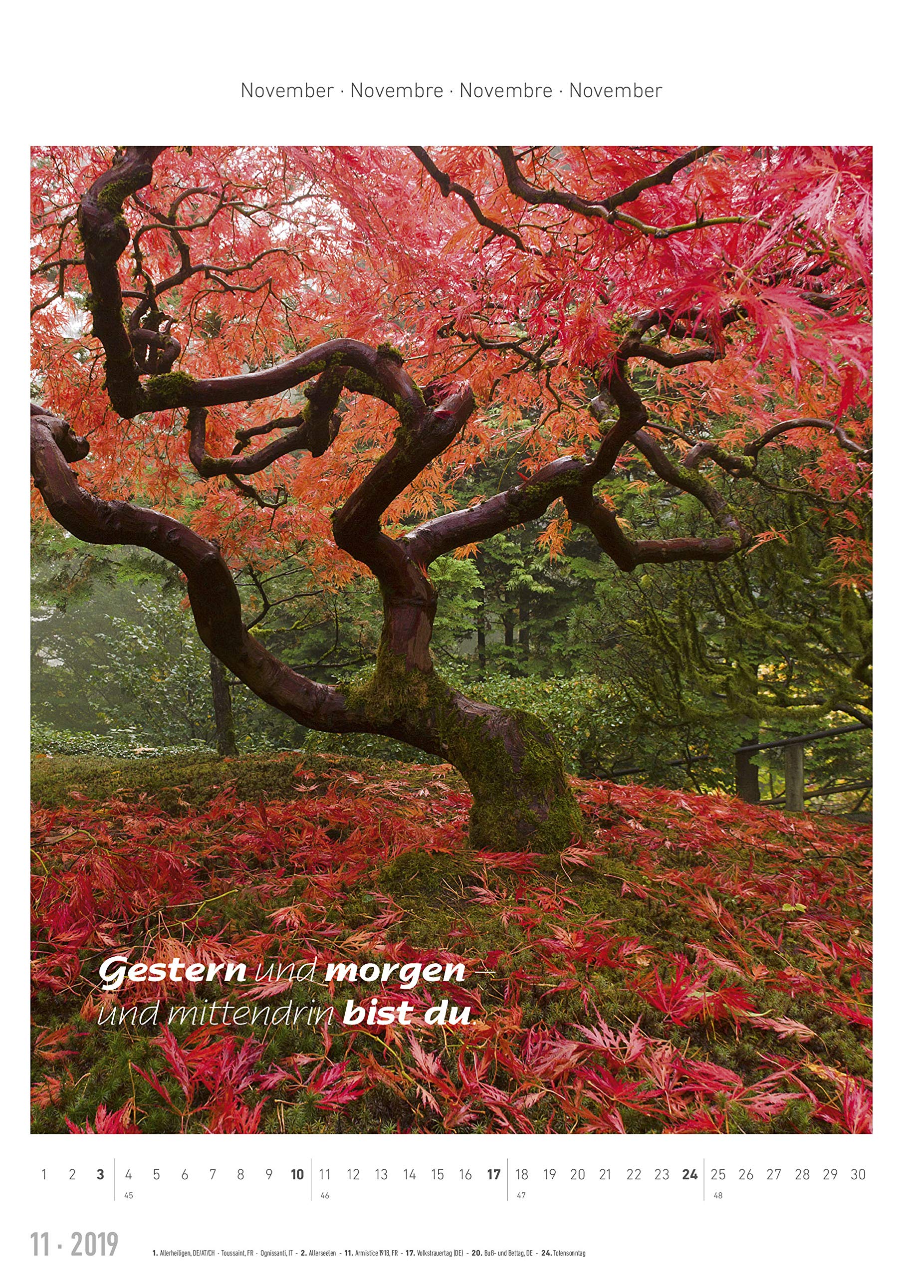 Inspiration 2019 9783840793219 Amazoncom Books