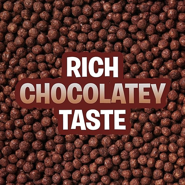 COCOA PUFFS, CHOCOLATEY BREAKFAST CEREAL, MADE WITH WHOLE GRAIN, FAMILY SIZE, 18.1 OZ
