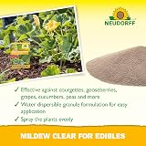 Neudorff Mildew Clear for Edibles Fungicide 75g for Roses Vegetables Fruit view 4