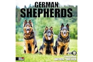 RED EMBER German Shepherds 2026 Wall Calendar 12 Month | 12" x 24" Open | Thick & Sturdy Paper | Holiday Gift | Cute Puppy Dog Calendar 2026