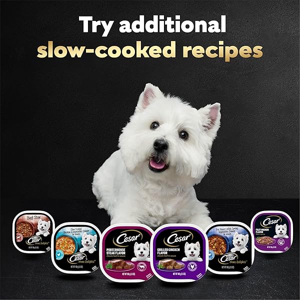 CESAR HOME DELIGHTS & CLASSIC LOAF IN SAUCE ADULT WET DOG FOOD, VARIETY PACK, WET FOOD FOR DOGS, 3.5 OZ TRAY, 36 COUNT