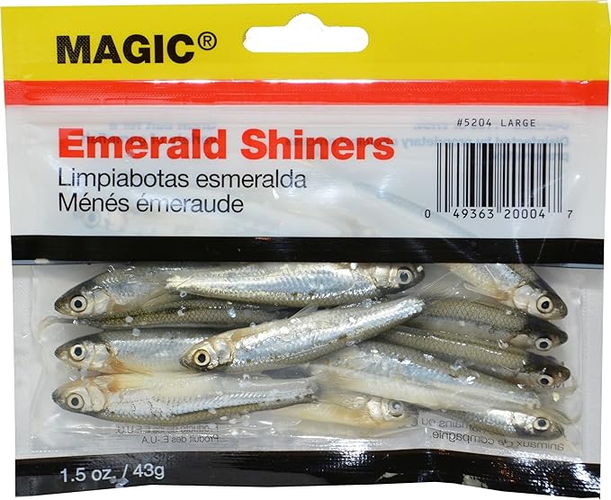 live shiners for sale near me