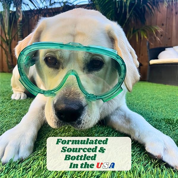 DOZZLEPETS FOAMZYME – 32OZ OUTDOOR PET ODOR ELIMINATOR, SAFE IN PET & FAMILY AREAS, ALL-NATURAL INGREDIENTS, DESIGNED FOR USE WITH POOZOOKA, MADE IN USA