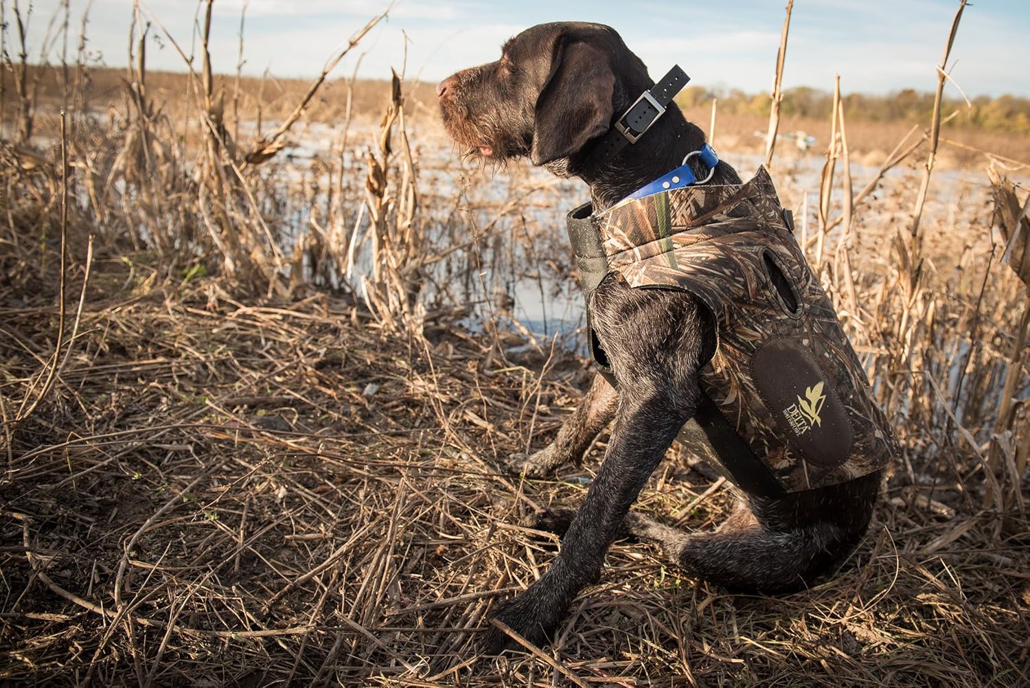 German Shorthaired Pointer Hunting Vest