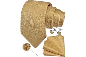 GUSLESON 3.15"（8cm） Mens Tie and Lapel Pin Paisley Necktie Hankerchief Cufflinks Set for Men