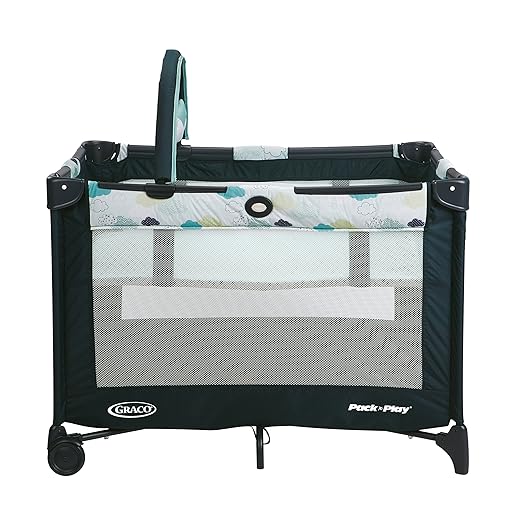pack n play full size bassinet