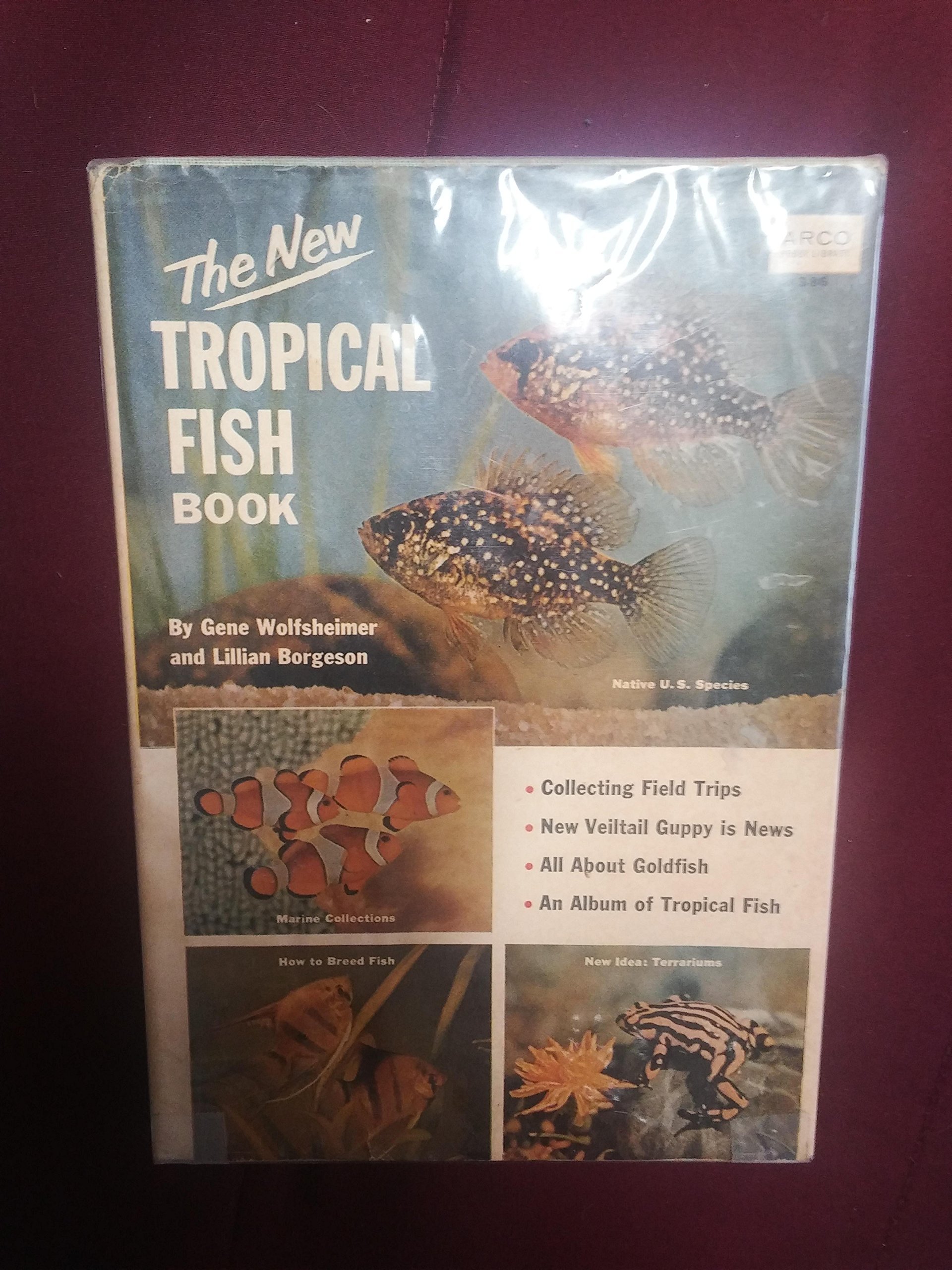 new tropical fish