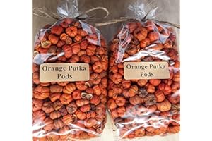 SEEPER On The Bright Side Mini Orange Pumpkin Pods Potpourri Bowl Fillers 8 Cups