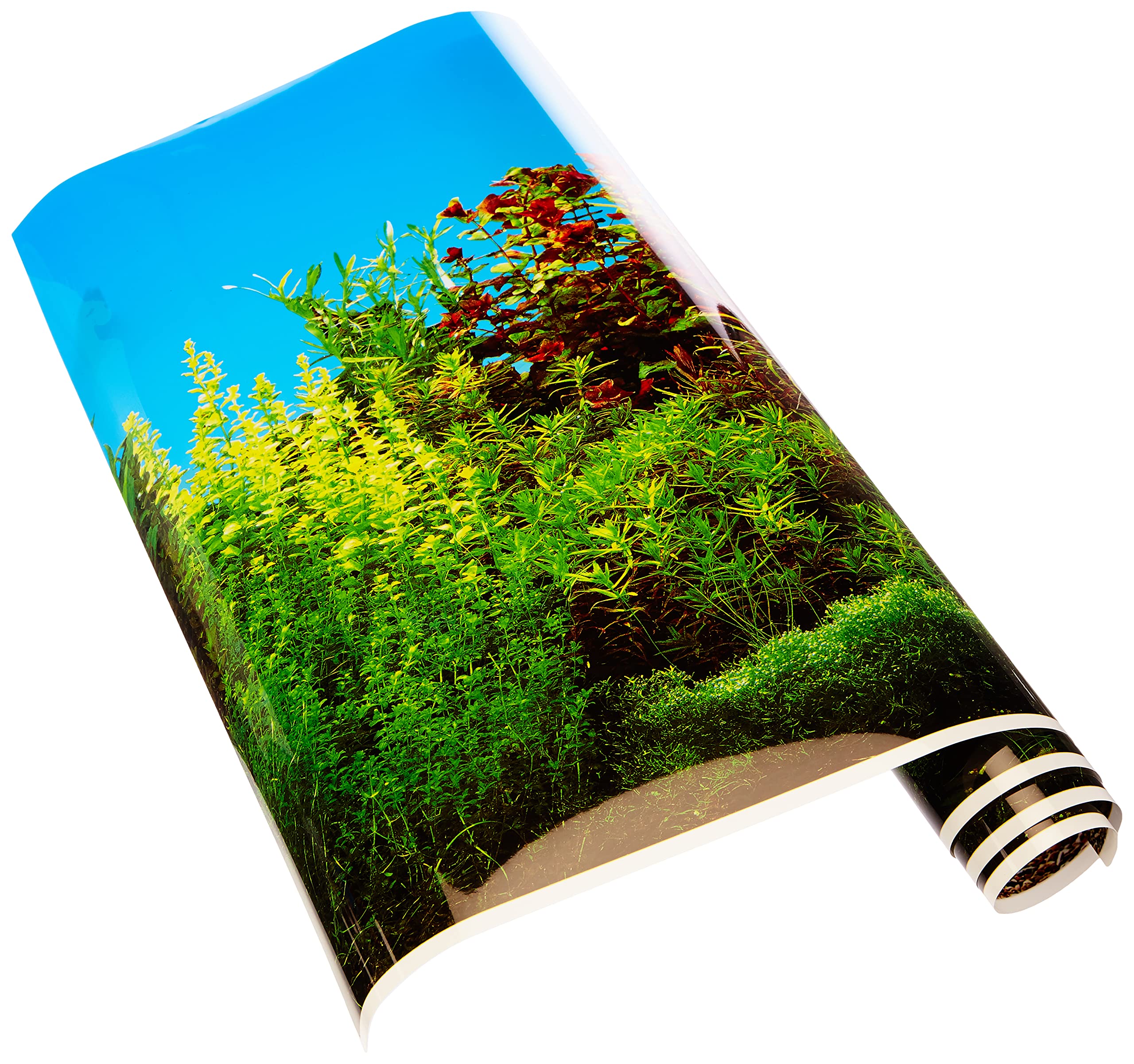 Europet Bernina 241-108932 Photo Back Board, 80 x 40 cm Beauty and Sea Motif