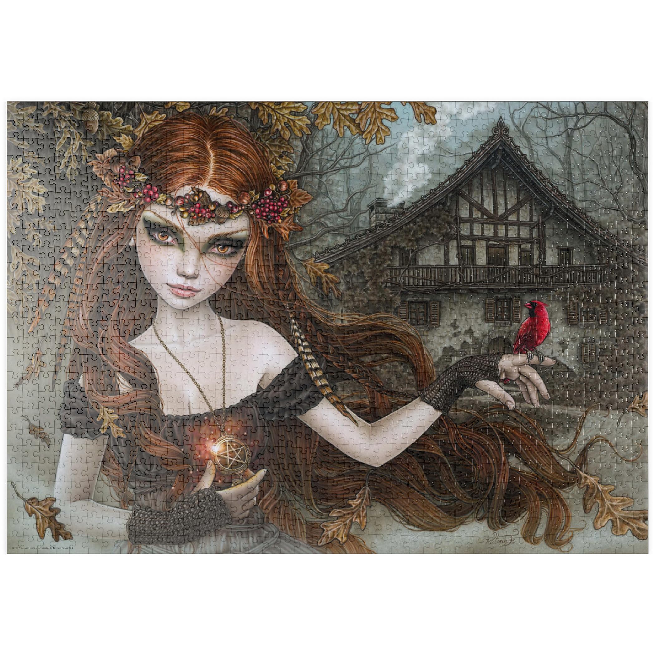 Redbird - Victoria Francés - Premium 1000 pieces Puzzle - MyPuzzle special collection from Heye Puzzle