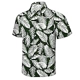 Hawaiian Shirt for Men, Hawaii Short Sleeve Button