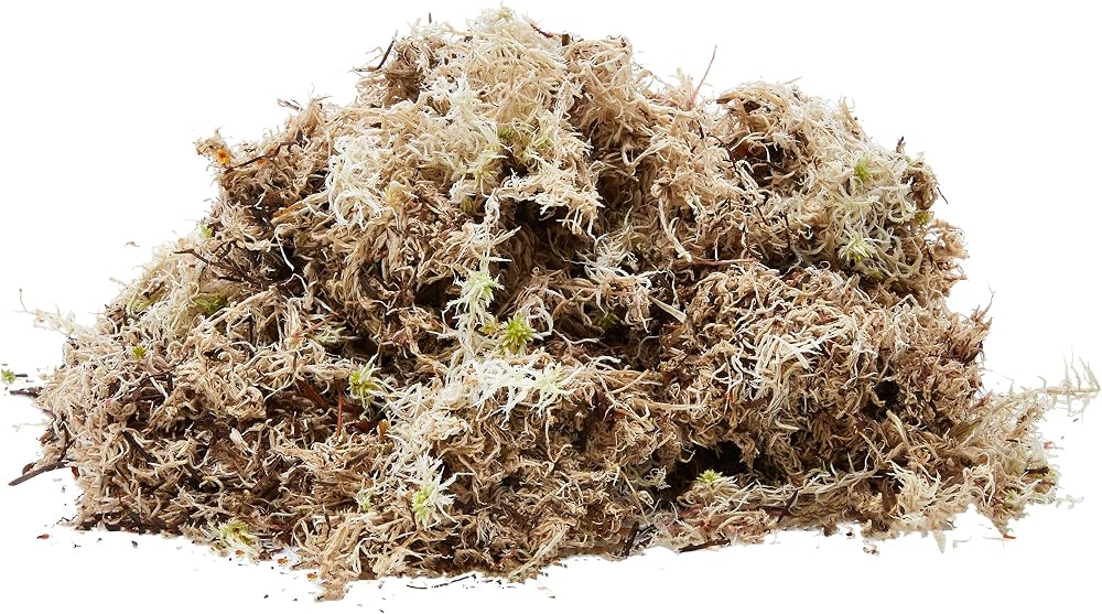 Komodo Habitat Moss 1.5 Litre Sphagnum for Humidity Reptile Setup