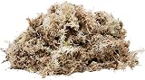 Komodo Habitat Moss 1.5 Litre Sphagnum for Humidity Reptile Setup