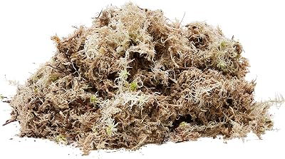 Komodo Habitat Moss 1.5 Litre Sphagnum for Humidity Reptile Setup