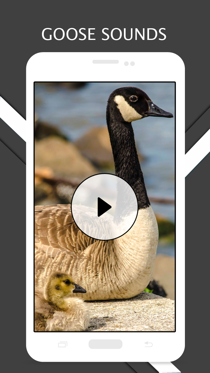 Goose Sounds And RingtonesAmazon.co.jpAppstore for Android