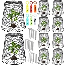 10 Cloches De Jardin Transparentes 12x12x9 Cm - Protection Anti-Gel, Ventilation Réglable - Pour Semis, Plantes