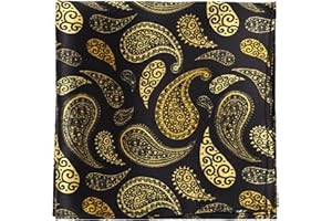 MANSPHIL Paisley Silk Pocket Square for Men, Suit Handkerchief for Tux Wedding Prom