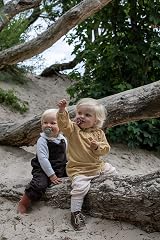 BIBS De Lux Dummy 0+ Months 2-Pack Round Teat Vanilla/Dark Oak view 5