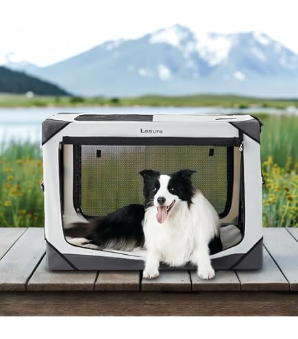 DOG Amazon.com : X-ZONE PET Dog Crate 3-Door Kennel, Collapsible