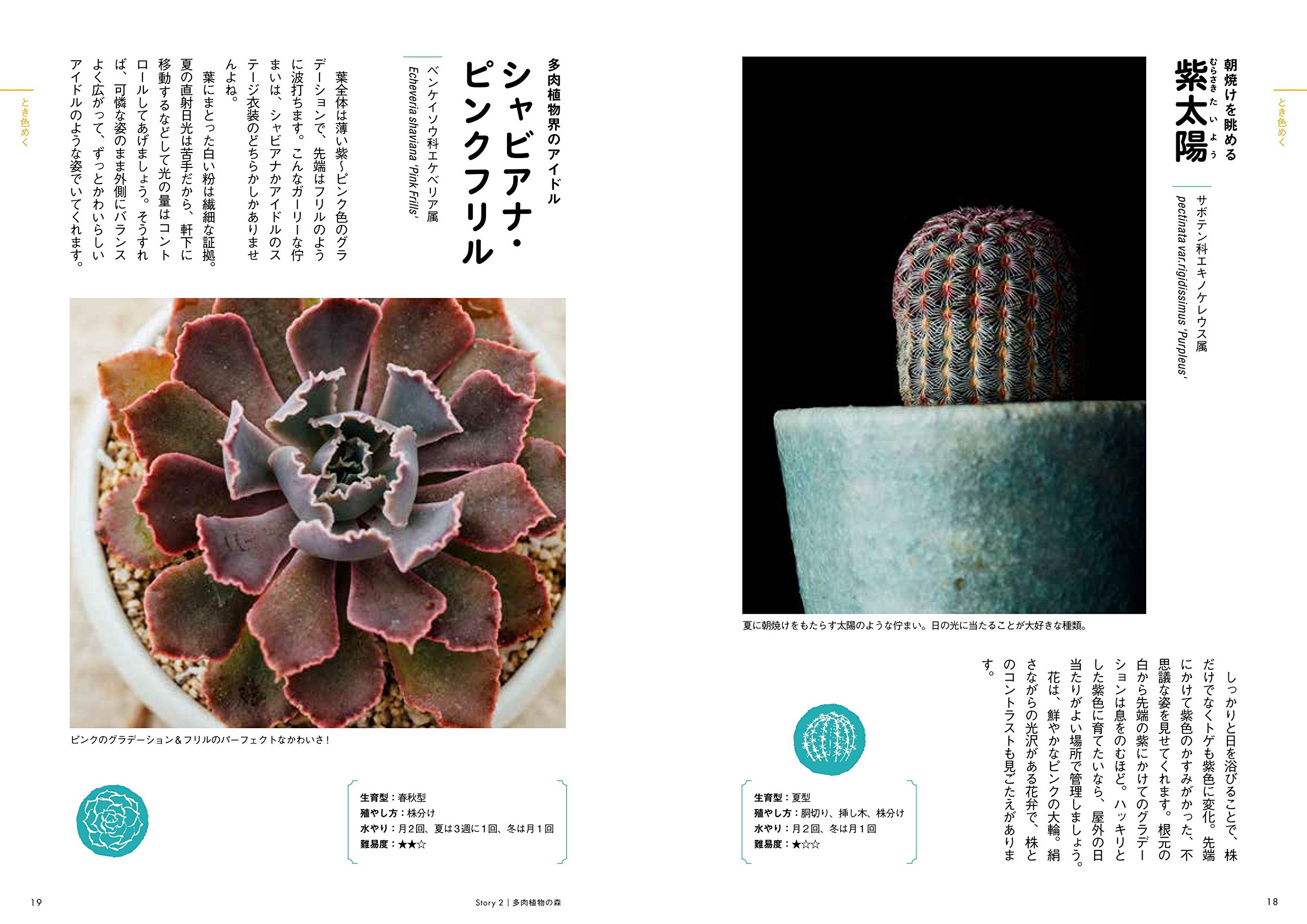 ときめく多肉植物図鑑 ときめく図鑑 Amazon Com Books