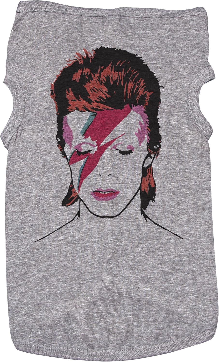 colorful freshwater angelfish