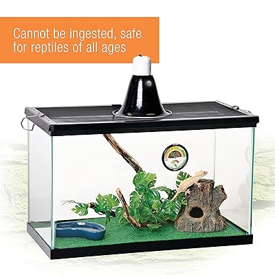 How to reuse reptile terrarium
