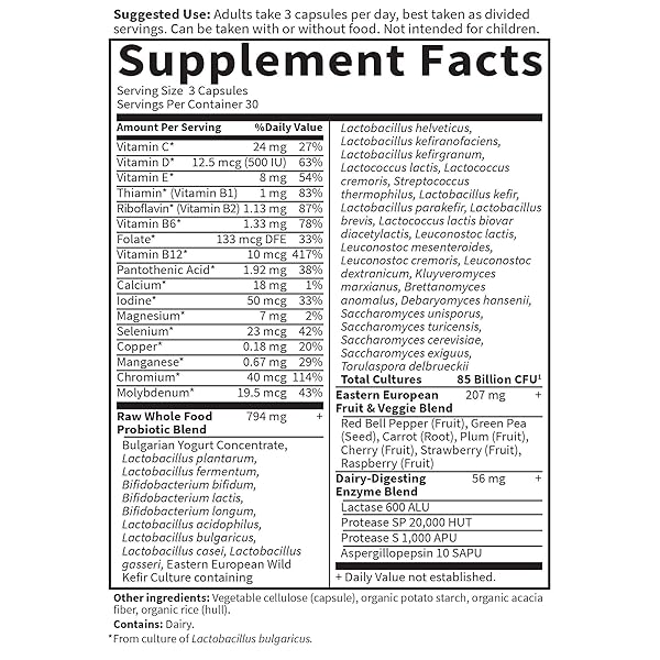 GARDEN OF LIFE – RAW PROBIOTICS MEN – 90 VEGETARIAN CAPSULES