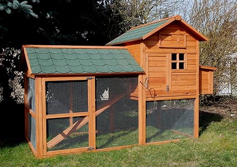 Poulailler House 2 Amazonfr Animalerie