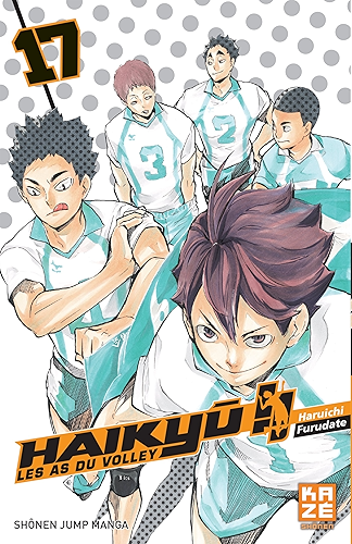 Download Haikyu !! - Les As du volley T17 PDF
