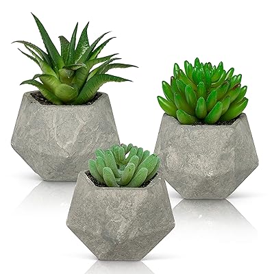 Ashbrook Outdoors Artificial Succulent Plants with Jamaica | Ubuy