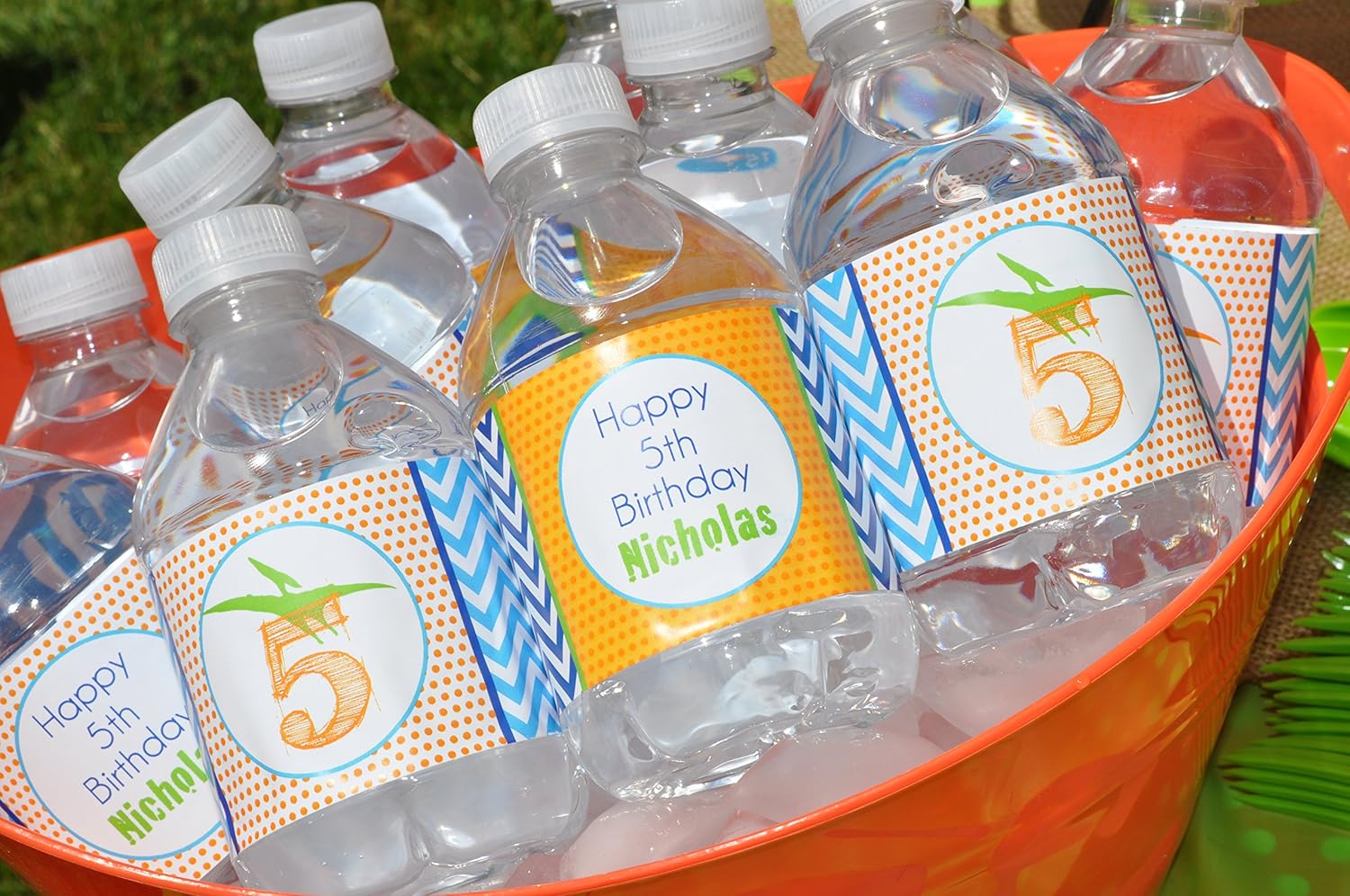 Amazon Com Dinosaur Water Bottle Labels Drink Labels Birthday