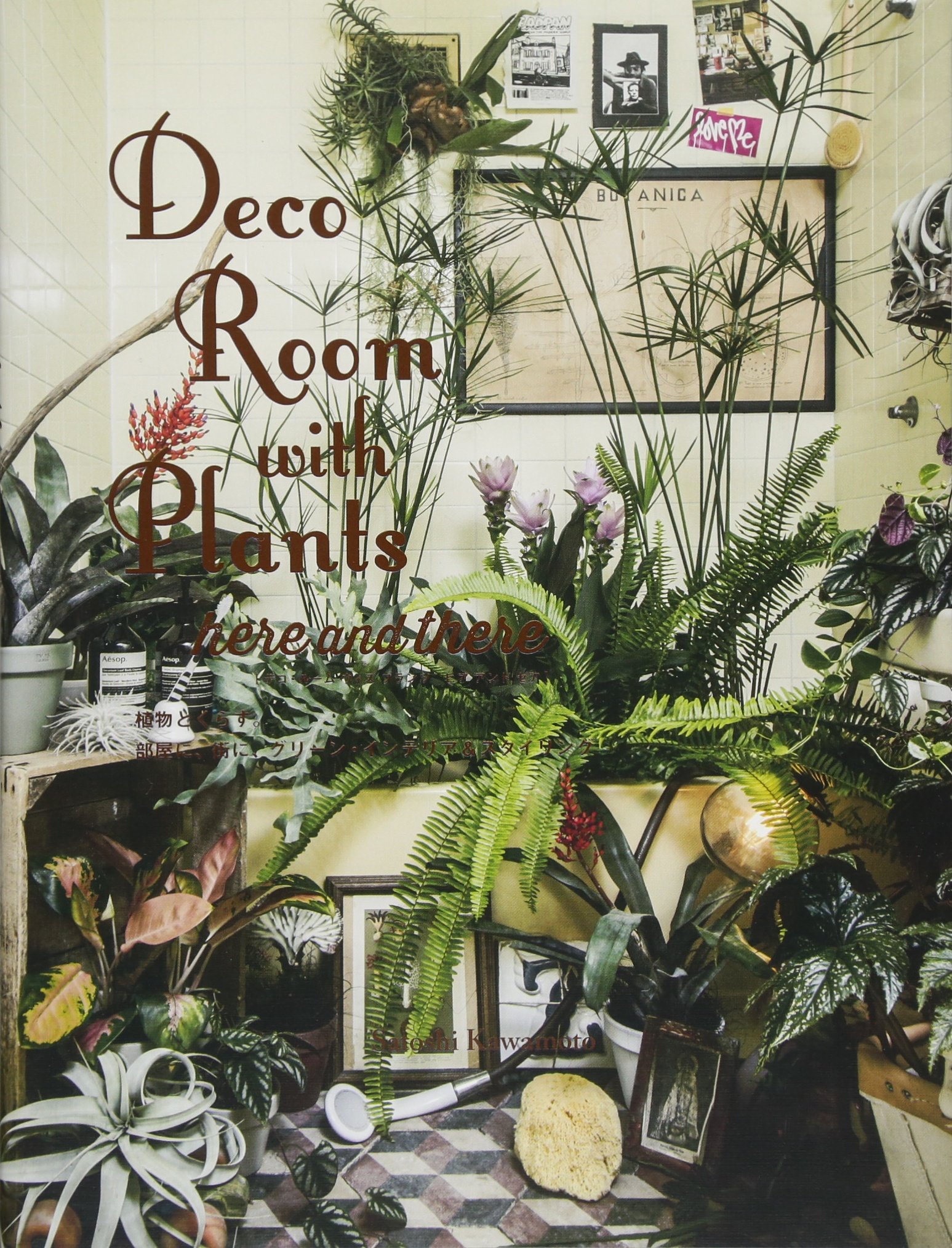 Deco Room With Plants Here And There Amazon Co Uk Kawamoto Satoshi Books