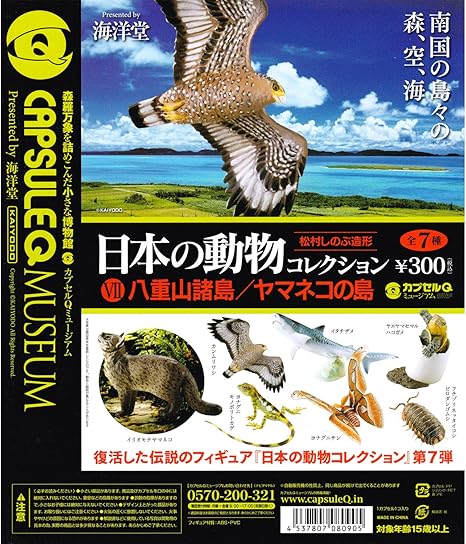 Amazon 海洋堂カプセルｑミュージアム 日本の動物コレクションvii 八重山諸島 ヤマネコの島 ノーマル7種セット カプセル玩具 ホビー