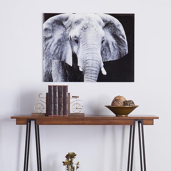 The Elephant Frameless Glass Wall Art Wall Art