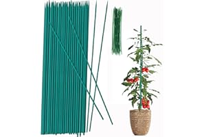 Plant Stake 17 Inch SupKing Wood Plant Sticks 30 Packs Orchid Stakes Sturdy Green Bamboo Plant Support Stake Gardening Floral Potted Plant Support