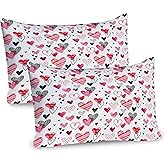 Ambesonne Valentines Pillow Sham Set of 2, Doodle Style Hearts with Different Designs Romantic Inspirations for Art, Quality Microfiber Bedding Item for All Seasons, 36