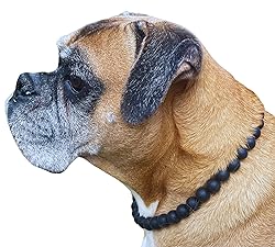 Dog Necklace