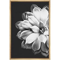 SIGNWIN Framed Canvas Wall Art Black and White Green Desert Rose Botanical Succulent Photography Realism Modern Closeup for Living Room, Bedroom, Office - 16