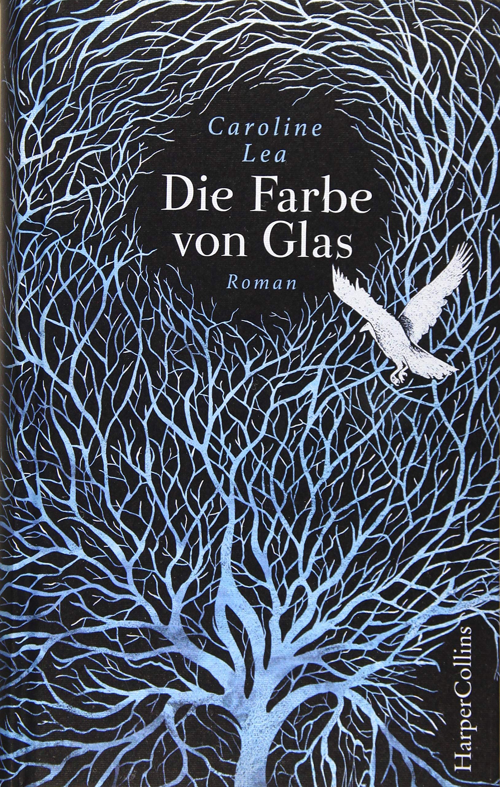 Die Farbe Von Glas Roman Lea Caroline Von Reppert Bismarck Leonie Kirchdorfer Anja Amazon De Bucher