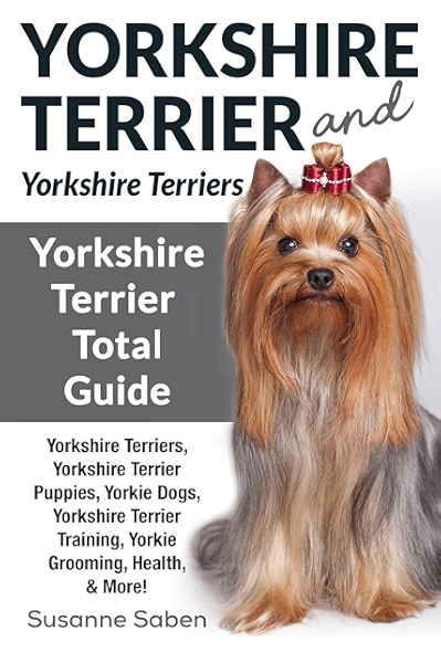 best way to train a yorkie puppy