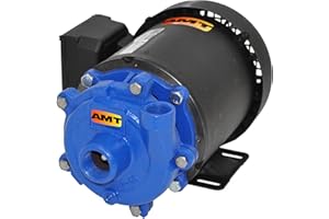 AMT PUMPS AMT Pump 368A-95 Straight Centrifugal Pump, Cast Iron, 1/3 HP, 1 Phase, 115/230V, Curve A, 3/4" NPT Female Suction, 1/2" NPT Female Discharge Port