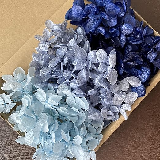 Amazon Co Jp プリザーブドフラワー ピラミッドアジサイ ブルー系３色セット ホビー