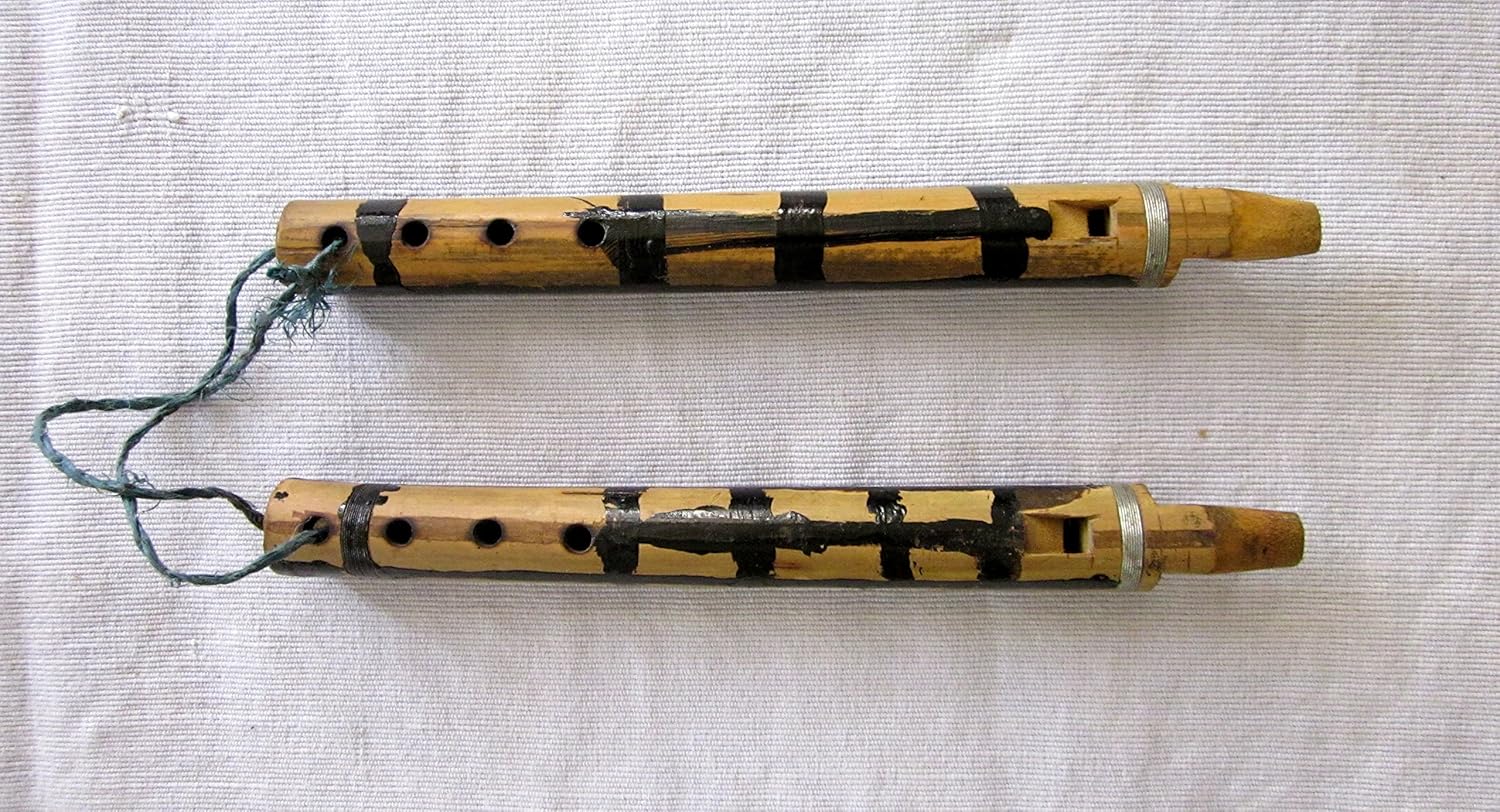 Nadsadhna Algoja, Flute, Bansuri, Double Flute, Folk Musical Instrument