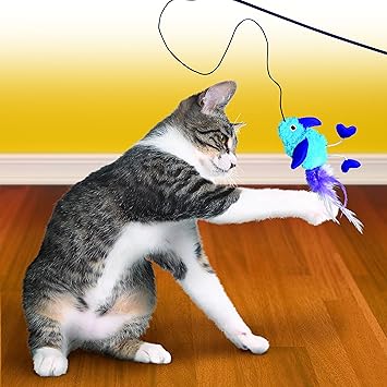 kong cat toys amazon