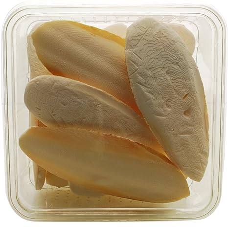 Tropic-Shop - Sepiaschale die natürliche Kalziumquelle 8 - 12 Stück Für Schildkröten, Bartagamen, Vögel uvm.
