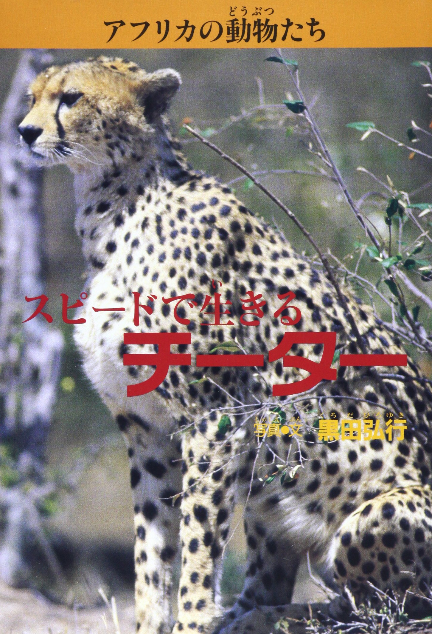 スピードで生きるチーター アフリカの動物たち 弘行 黒田 本 通販 Amazon