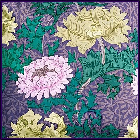 Amazon Com Orenco Originals African Daisy By William Morris Counted Cross Stitch Pattern Arts Crafts Sewing