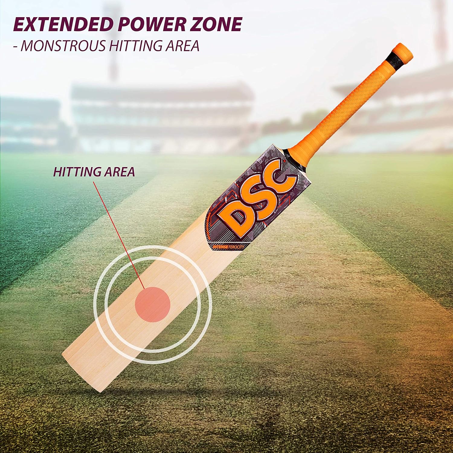 dsc intense ferocity bat