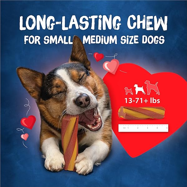 PURINA BUSY WITH BEGGIN’ TWIST’D CHEDDAR AND HICKORY SMOKE FLAVORS ADULT DOG TREAT – 10 CT. POUCH